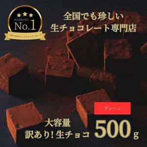 大容量 訳あり 生チョコレート 500g プレーン