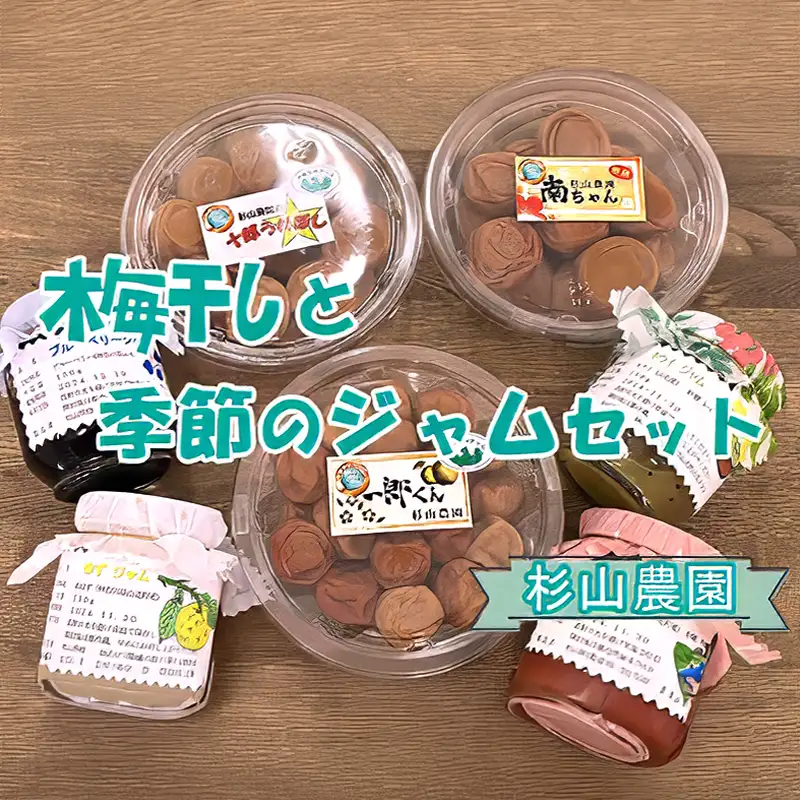 杉山農園 Ｄ 梅干しと季節のジャムセット【 梅干し 国産 塩だけ 酸っぱい ジャム 無添加 フルーツ 果物 詰め合わせ 食べ比べ 神奈川県 山北町 】