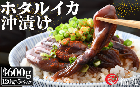 ホタルイカ沖漬け 120g × 5パック 福井の網元漁師「福丸」が厳選！ [e15-a008]
