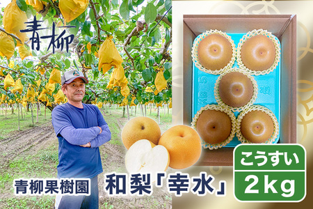 【2026年先行予約】青柳果樹園の和梨 幸水 2kg（4～7玉） 《8月下旬～順次出荷》 果物 こうすい 加茂市 青柳果樹園