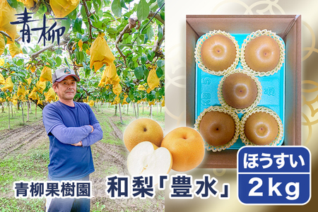 【2026年先行予約】青柳果樹園の和梨 豊水 2kg（3～5玉） 《9月上旬～順次出荷》 果物 ほうすい 加茂市 青柳果樹園