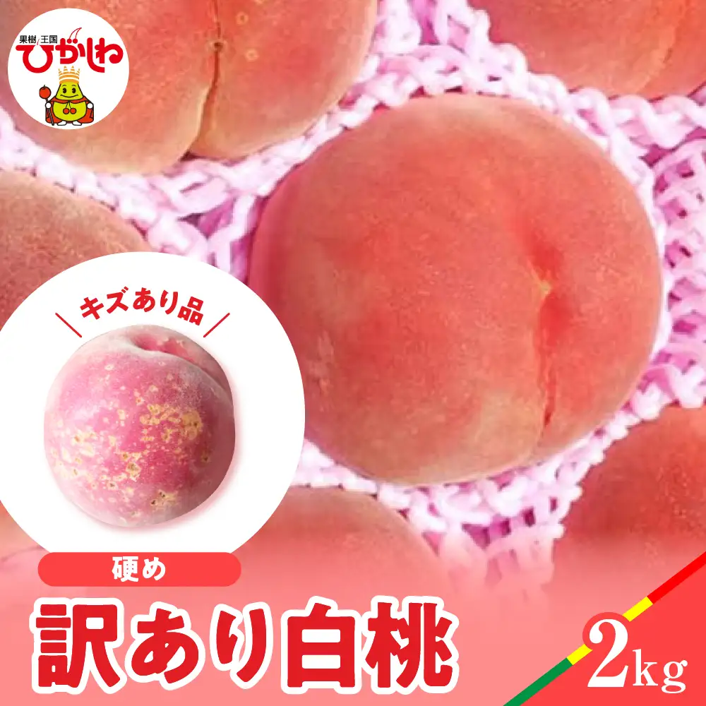 2026年産 訳あり 白桃 ( 硬め ) 品種おまかせ 2kg 白桃