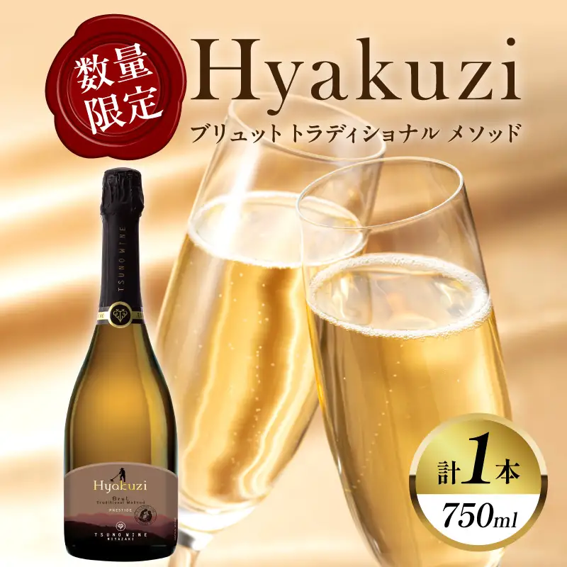 【数量限定】Hyakuzi ブリュット トラディショナル メソッド(計1本) 酒 飲料 アルコール 国産_T014-0085