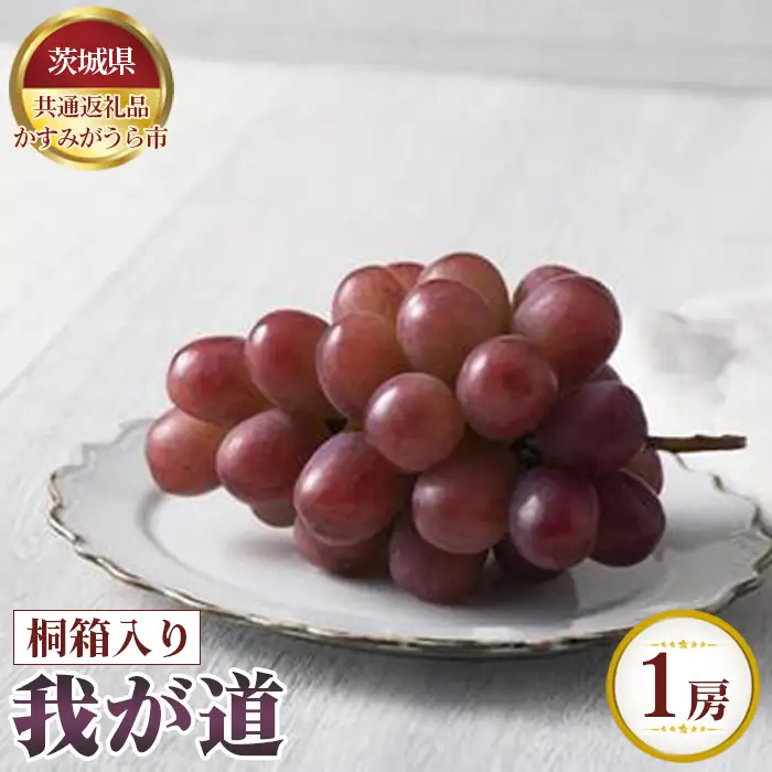 【先行予約】我が道　桐箱入り1房【茨城県共通返礼品 かすみがうら市】 No.624
