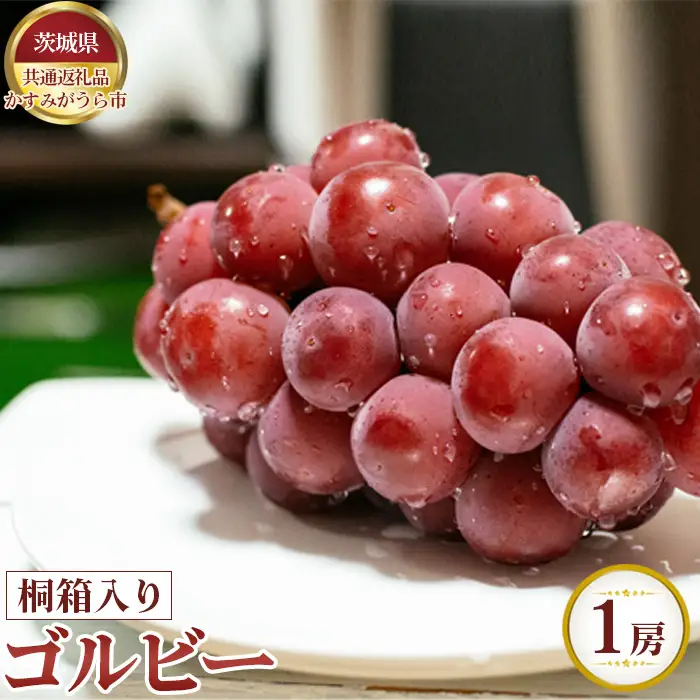 【先行予約】ゴルビー　桐箱入り1房【茨城県共通返礼品 かすみがうら市】 No.625