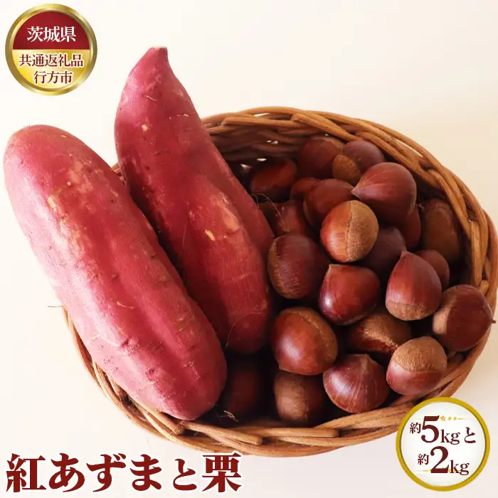 【先行予約】紅あずま 約5kgと栗 約2kg【茨城県共通返礼品 行方市】 No.635