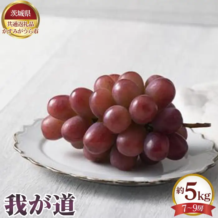 【先行予約】我が道　約5kg（7～9房）【茨城県共通返礼品 かすみがうら市】 No.653