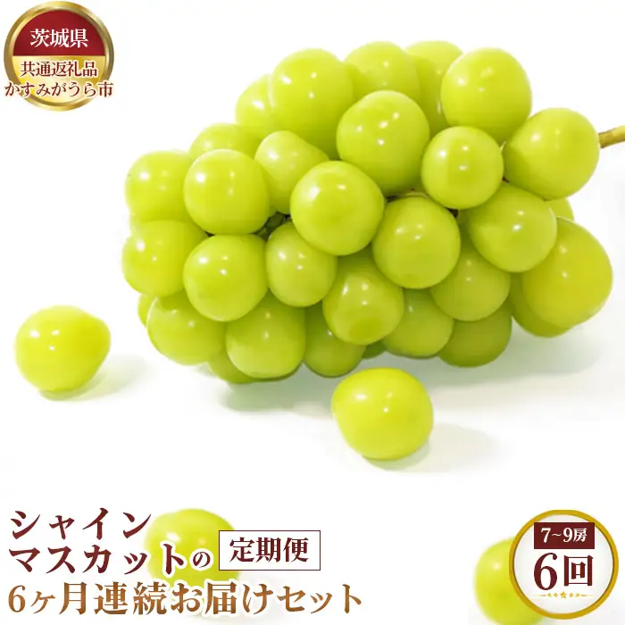 【先行予約】シャインマスカットの6ヶ月連続お届けセット　7～9房×6回【茨城県共通返礼品 かすみがうら市】 No.660