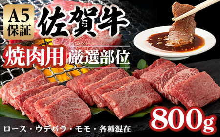 佐賀牛 焼肉  800g C210-008 焼肉 牛肉 厳選部位