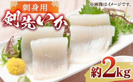 刺身用 剣先イカ 約2kg（急速冷凍）《壱岐市》【魚助】 イカ いか 剣先いか ケンサキイカ刺し身 鮮魚 海鮮 [JFX001]