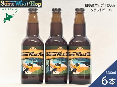 【ふるさと納税】（予約返礼品）わっさむクラフトビール（Some What Hop）6本