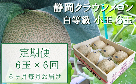 【6か月定期便】クラウンメロン【並(白等級)】小玉(1.1kg前後)6玉入り 果物 メロン青肉 フルーツ デザート 高級メロンブランド 高級メロン ブランドメロン
