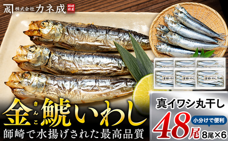 いわし 丸干し 48尾 (8尾×6パック) 干物 冷凍 小分け 愛知県 南知多町 ご飯 ごはん おかず おつまみ 魚 イワシ 国産