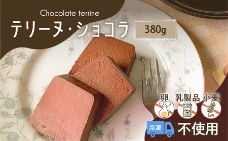 【 洋菓子 】 テリーヌ ・ ショコラ K119-002 冷凍