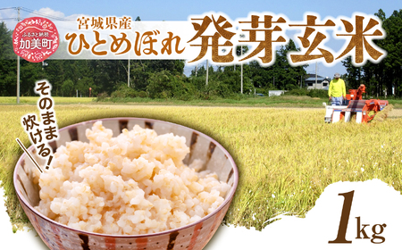 [発芽玄米] 宮城県産ひとめぼれ発芽玄米1kg 菅原商店