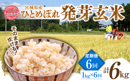 [発芽玄米] 宮城県産ひとめぼれ発芽玄米1kg×6回定期便 菅原商店