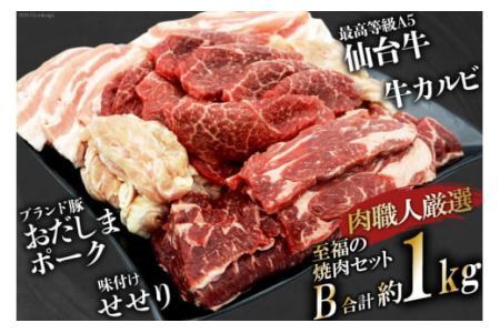 【肉職人厳選】 至福の焼肉セットB 計約1kg 最高等級A5ランク 仙台牛 加美町産ブランド豚 おだしまポーク 国産鶏せせり [関精肉畜産 宮城県 加美町 44581358]牛カルビ 焼き肉 牛 豚 44581358
