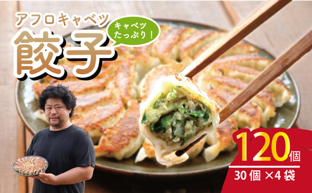 餃子 きゃべつ餃子 120個