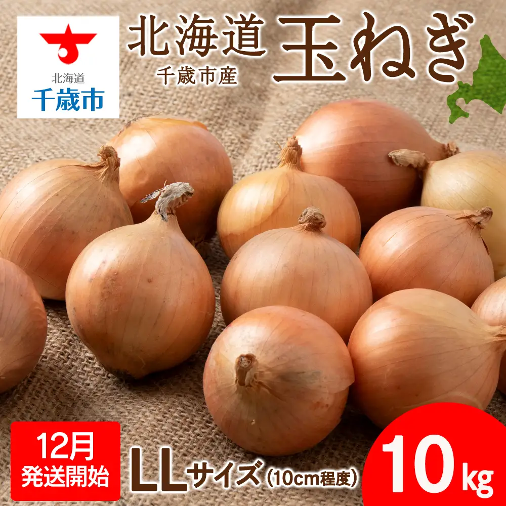 【先行予約】玉ねぎ 10kg LLサイズ 北海道 千歳市産 【假屋フードブリッジ】