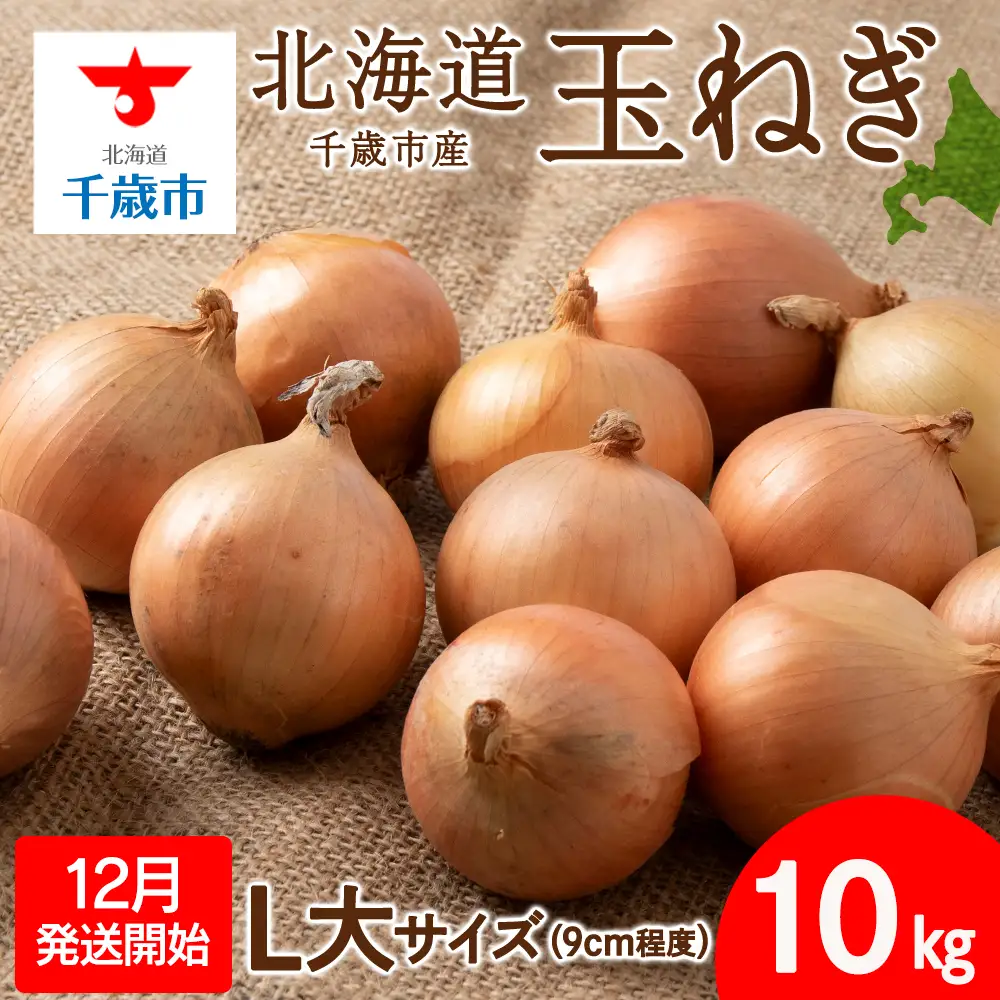 【先行予約】玉ねぎ 10kg L大サイズ 北海道 千歳市産 【假屋フードブリッジ】