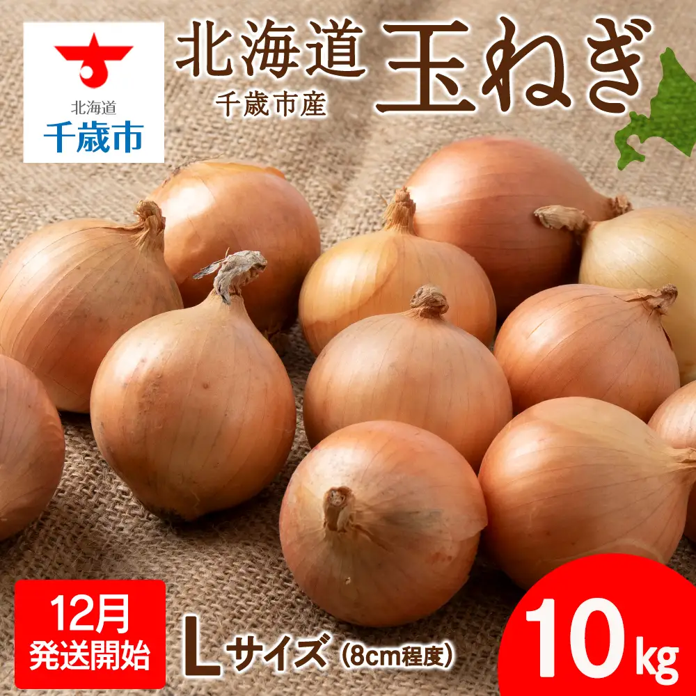 【先行予約】玉ねぎ 10kg Lサイズ 北海道 千歳市産 【假屋フードブリッジ】