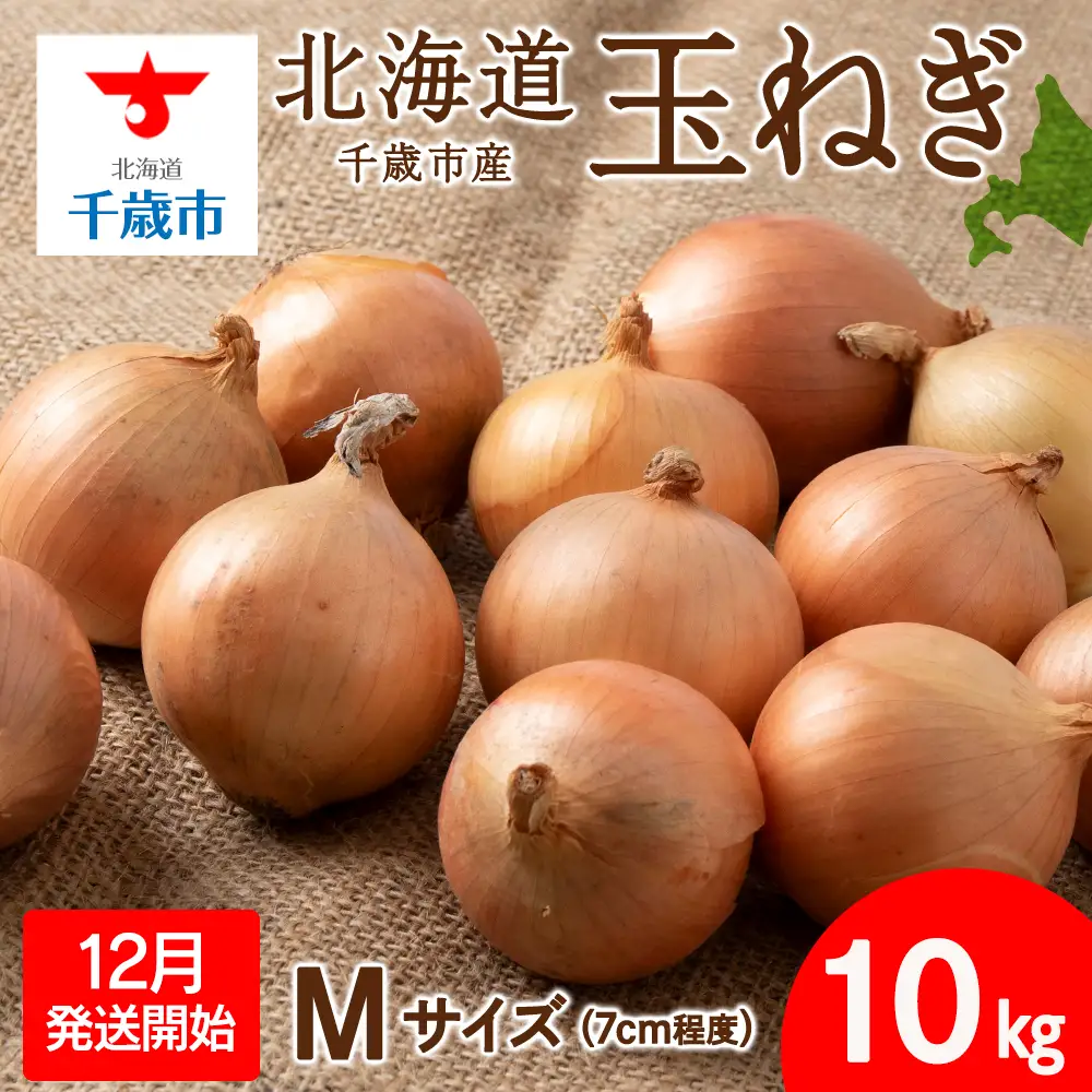 【先行予約】玉ねぎ 10kg Mサイズ 北海道 千歳市産 【假屋フードブリッジ】