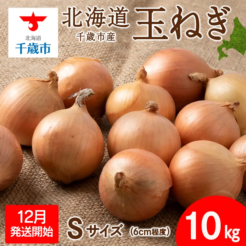 【先行予約】玉ねぎ 10kg Sサイズ 北海道 千歳市産 【假屋フードブリッジ】