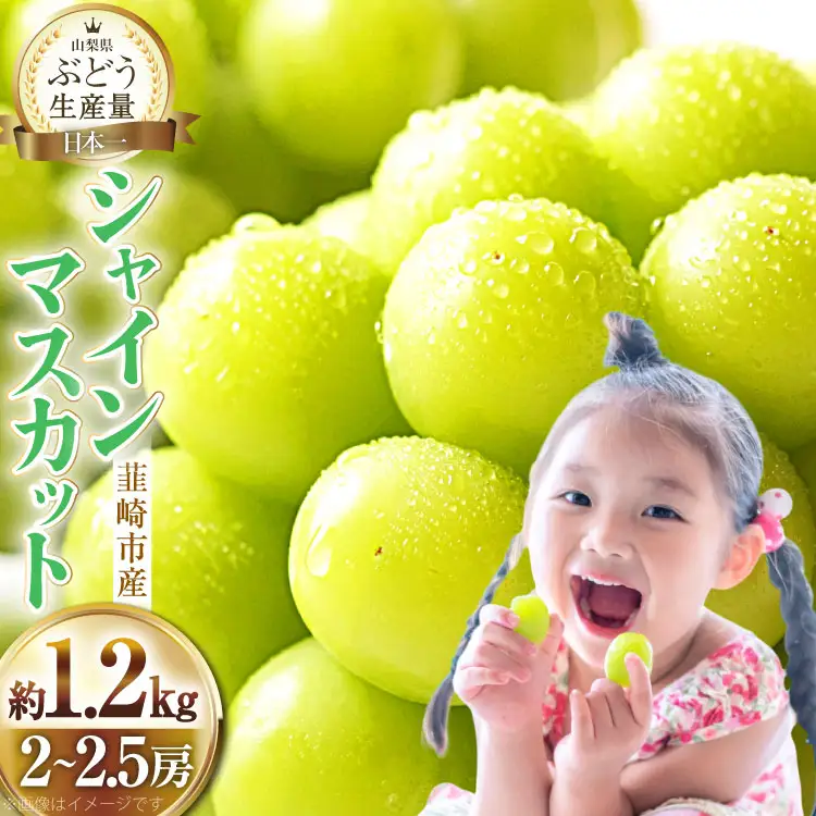 2026年発送 シャインマスカット 約1.2kg [20742921]