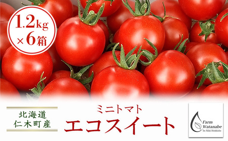[先行受付/2026年産][栽培期間中 農薬・化学肥料不使用] 北海道 仁木町産 ミニトマト エコスイート 1.2kg×6箱 サイズ混載 トマト野菜 やさい  [Farm Watanabe]