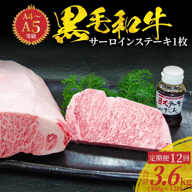 S001-022-T12_【定期便12回】A4～A5等級 黒毛和牛 サーロインステーキ 1枚（300g）たれ1本付