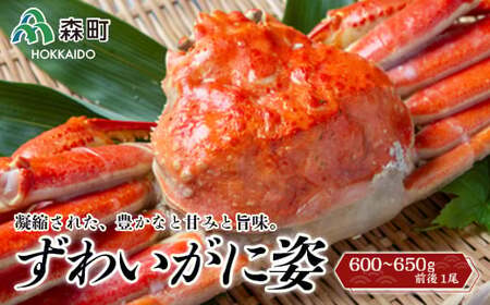 【順次発送】 ずわいがに姿 600～650g前後 1尾 ＜ワイエスフーズ＞ かに カニ 蟹 ガニ がに 森町 ふるさと納税 北海道 ずわいがに ずわいかに ズワイガニ mr1-0852-1
