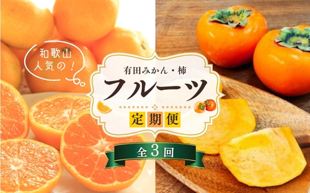 柿とみかん【魚鶴商店厳選】和歌山人気のフルーツ定期便（柿・みかん）【定期便全3回】【UT115】【Z91060-tkb】