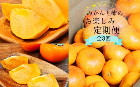 みかんと柿【10・11・12月 全3回】和歌山産 みかんと柿のお楽しみ 定期便 【魚鶴商店】【UT111】【Z91093-tkb】
