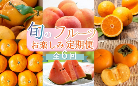 【2・4・6・8・10・12月 偶数固定月発送 全6回】和歌山産 旬のフルーツ お楽しみ 定期便 【魚鶴商店】【UT113w】【Z91095-tkb】