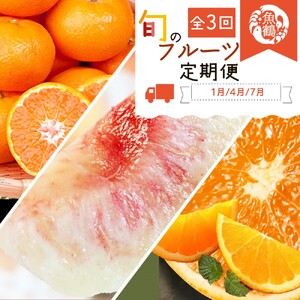 魚鶴商店のフルーツ定期便（みかん・オレンジ・桃）【発送月固定 定期便 全3回】【Z91117-tkb381】