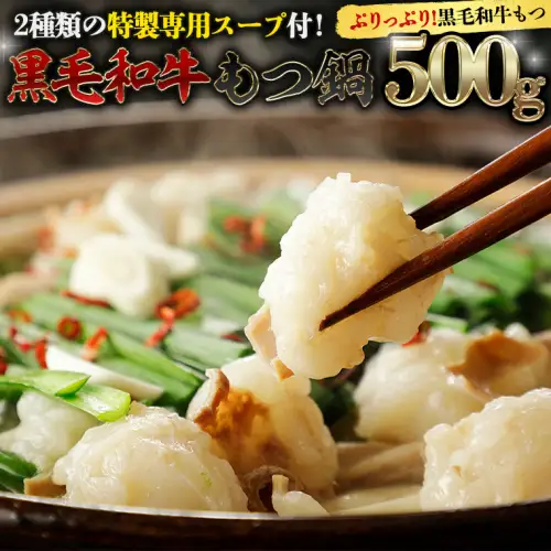 黒毛和牛 もつ鍋 セット 牛もつ 500g（ 2～3人前 × 2回分 ）和牛 鍋 ふるさと納税 7000円 お手軽 [AU089ya]