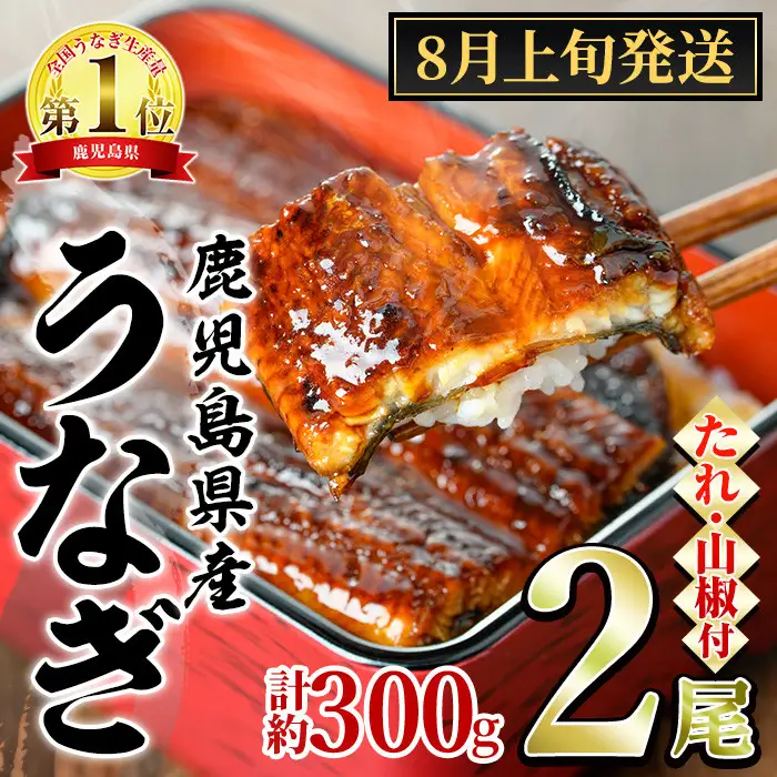 【0104347a-2608】＜8月上旬発送予定＞東串良町のうなぎ蒲焼(無頭)(2尾・計約300g・タレ、山椒付) うなぎ 高級 ウナギ 鰻 国産 蒲焼 蒲焼き たれ 鹿児島 ふるさと 人気【アクアおおすみ】