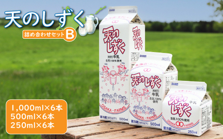 天のしずく　詰め合わせセットＢ(1000ml×6本・500ml×6本・250ml×6本,合計10.5L)　【5100201】