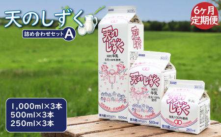 【定期便：全6回】天のしずく　詰め合わせセットＡ(1000ml×3本・500ml×3本・250ml×3本,合計5.2L)【5100301】