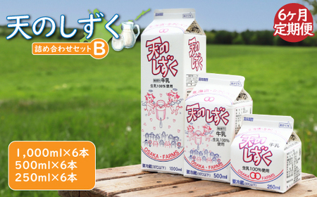 【定期便：全6回】天のしずく　詰め合わせセットＢ(1000ml×6本・500ml×6本・250ml×6本,合計10.5L)【5100401】