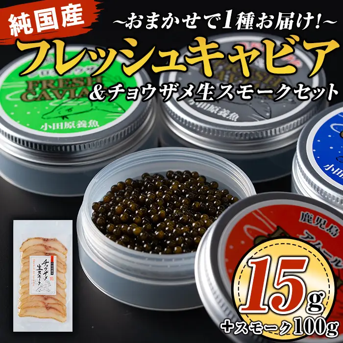 isa557 〈毎月数量限定〉おまかせフレッシュキャビア(15g×1種)＆チョウザメスモーク(100g×1P)セット国産 詰合せ 魚卵 白身 おつまみ 世界三大珍味 加工品 冷凍 冷凍便 セット【小田原養魚】