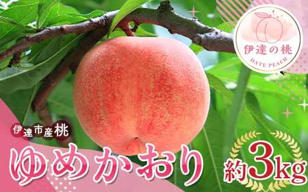 【2026年出荷分先行予約】福島県産 ゆめかおり 約3kg (6～12玉) サトー農園 新品種 超大玉 大玉 固め 伊達の桃 桃 フルーツ 果物 もも モモ momo F20C-839
