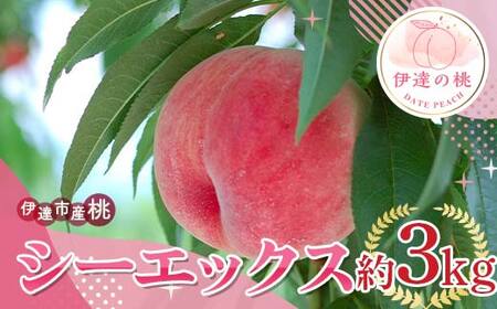 【2026年出荷分先行予約】福島県産 シーエックス 約3kg (6～12玉) サトー農園 大玉 固め 伊達の桃 桃 フルーツ 果物 もも モモ momo F21C-228