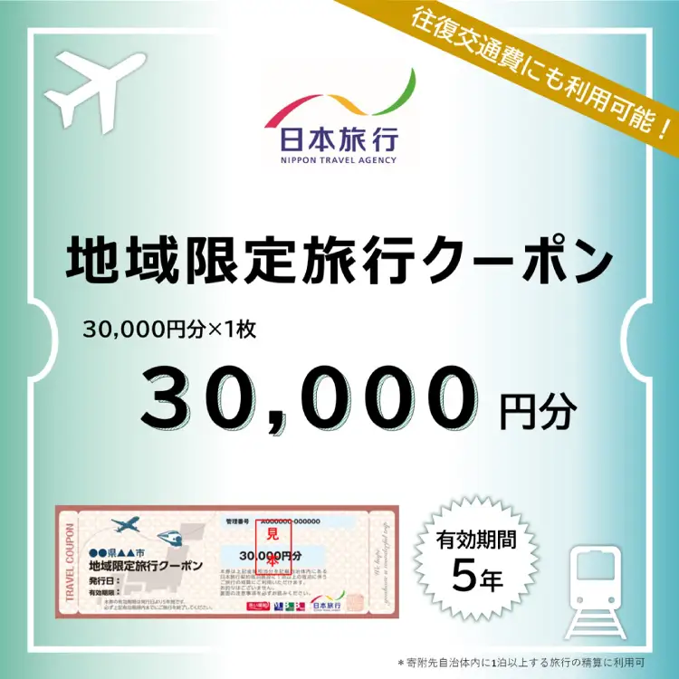 兵庫県三田市　日本旅行 地域限定旅行クーポン 30,000円分 旅行 宿泊 旅行券 旅行クーポン クーポン券 宿泊費 交通費 観光 体験 精算 お出かけ 冬休み 夏休み 人気 ふるさと納税 ふるさと 人気 おすすめ 送料無料 兵庫県 三田市 [3d28bae370001]