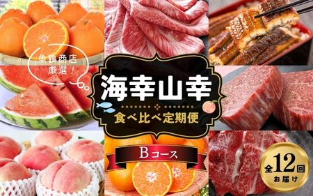 【魚鶴商店厳選！】人気の海幸山幸食べ比べ【定期便全12回】セットB【UT110】【Z90002-tkb】