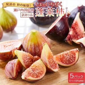 【尾道特産・秋の味覚！しまのいちぢく（訳あり品）】瀬戸内・因島の蓬莱柿（ほうらいし）約320g×5パック【9月より配送】