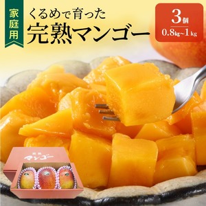 【2026年6月以降お届け】【家庭用】くるめで育った完熟マンゴー（3玉：約0.8～1kg）_先行予約 家庭用 くるめで育った 完熟マンゴー 3個 約 0.8kg ～ 1kg 糖度 17度 ～ 18度 甘い とろける 子供も安心 完熟 トロピカル フルーツ 果物 マンゴー 国産 クール便  倉重農園 地植栽培 お取り寄せ 福岡県 久留米市 送料無料 〔Fm017〕
