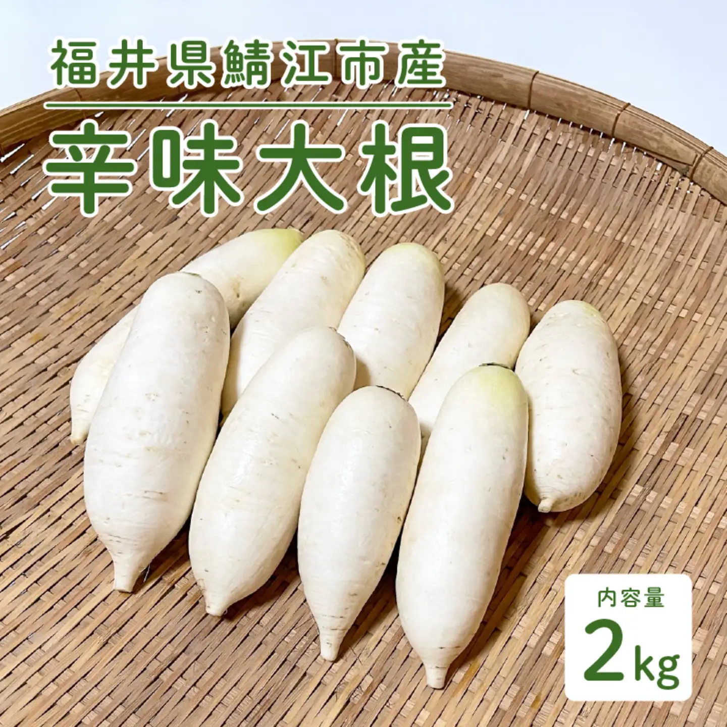 おろしそばに最適! 福井県産 辛味大根 2kg