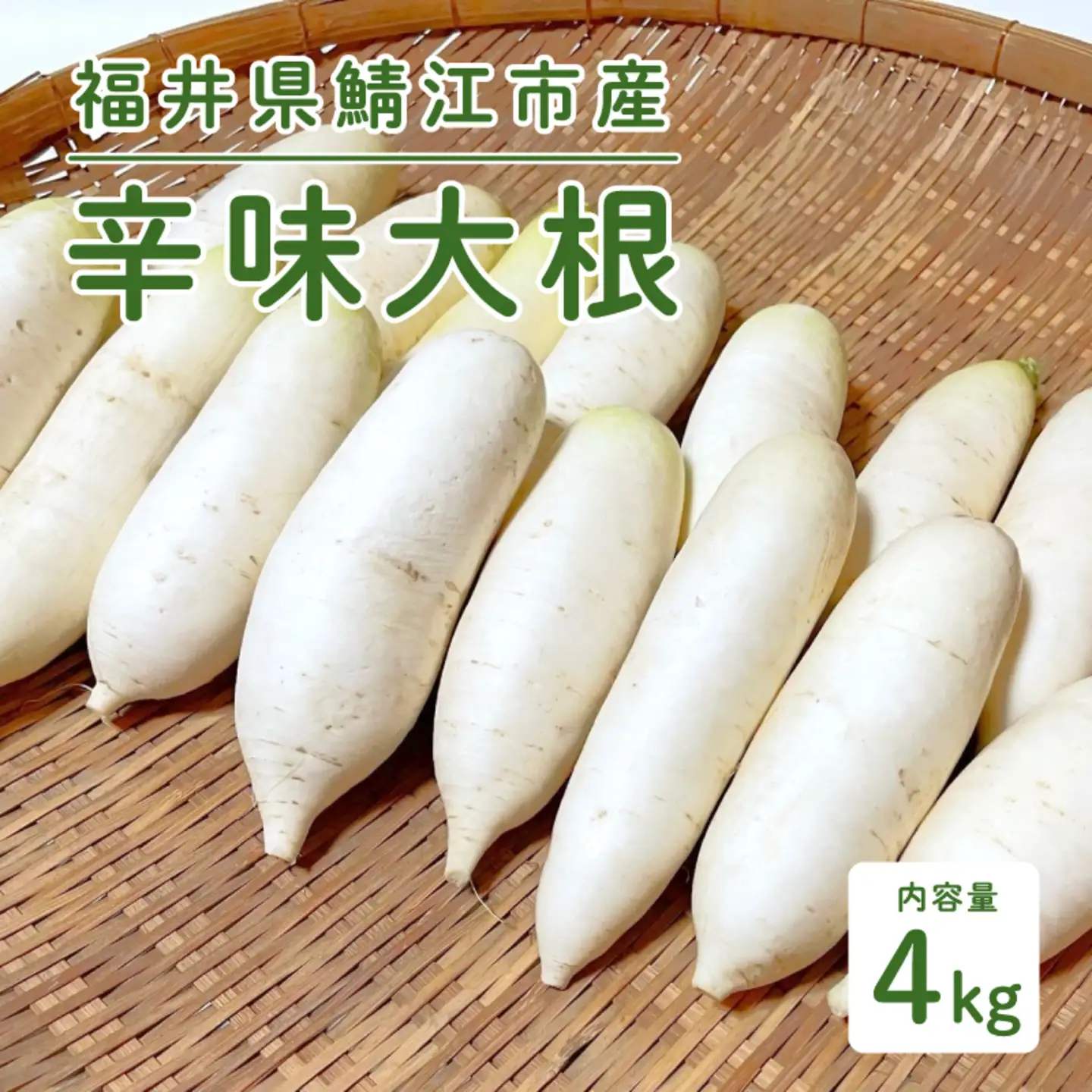 おろしそばに最適! 福井県産 辛味大根 4kg