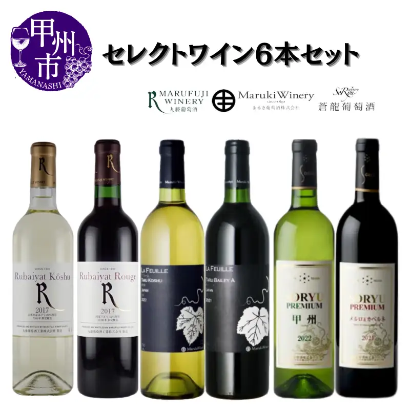 ワイン まるき葡萄酒 丸藤葡萄酒 蒼龍葡萄酒 セレクトワイン6本セット（MG）E3-651